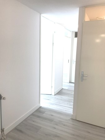 Medium property photo - Jan Pettersonstraat, 3077 MN Rotterdam